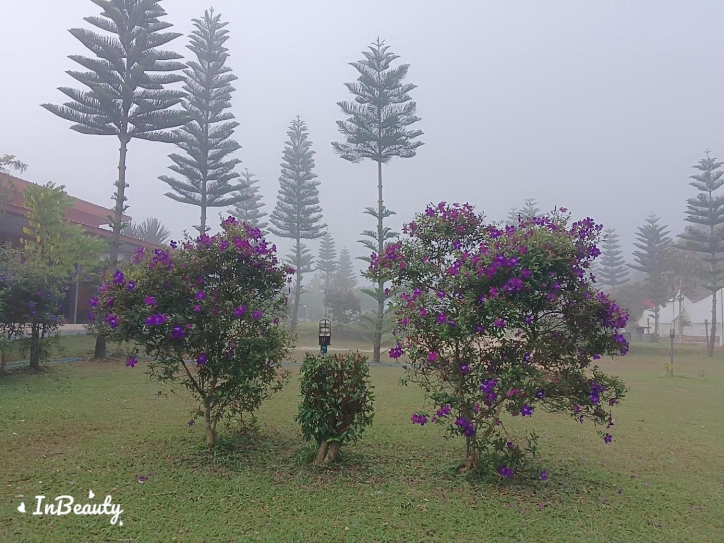Willa เฟรนด์แคมป์ Khao Kho Zewnętrze zdjęcie